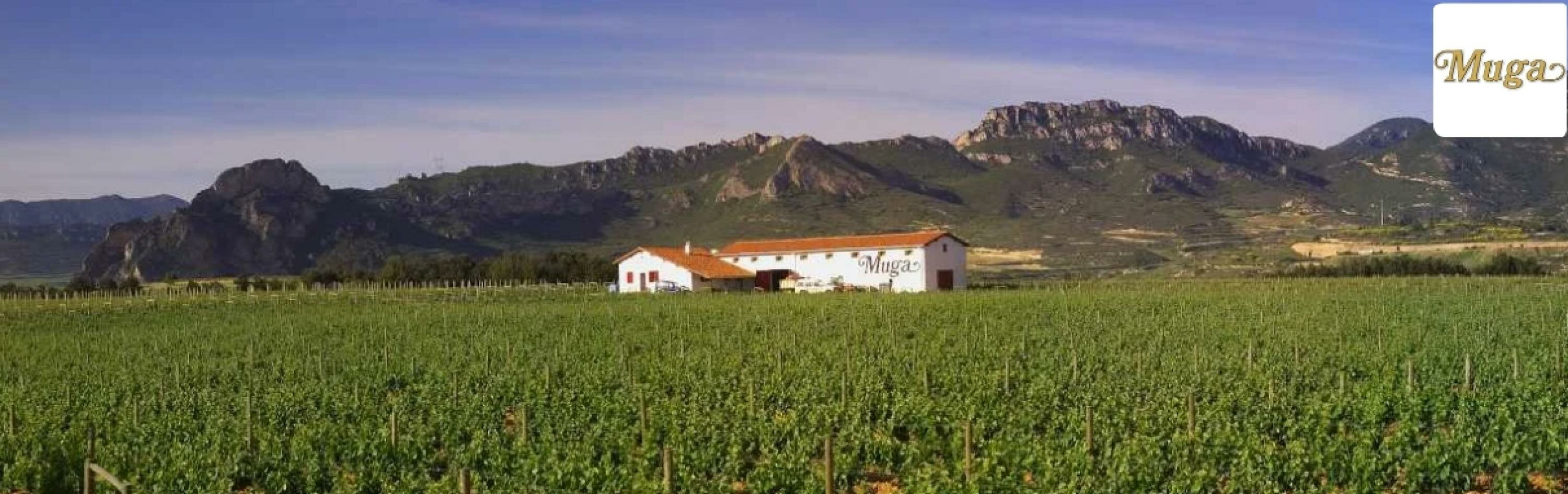 Bodegas Muga Cover Foto
