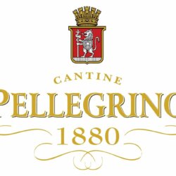 Winery Pellegrino Avatar