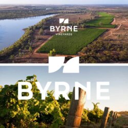 Byrne Vineyards Avatar