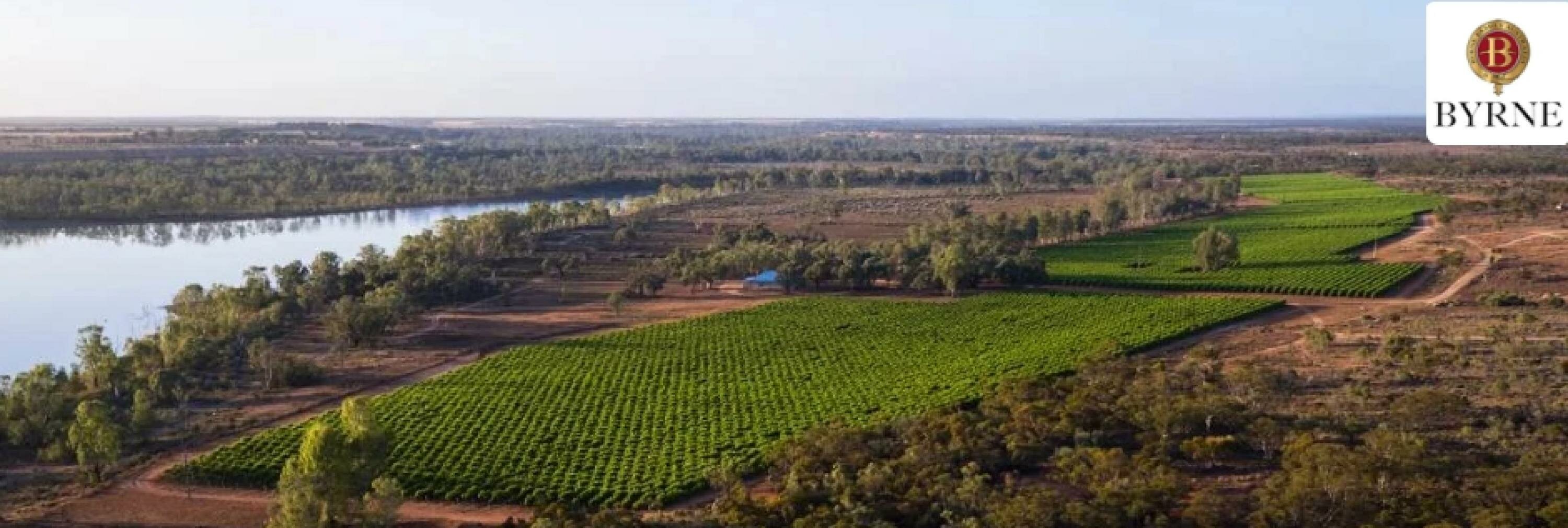 Byrne Vineyards Cover Foto