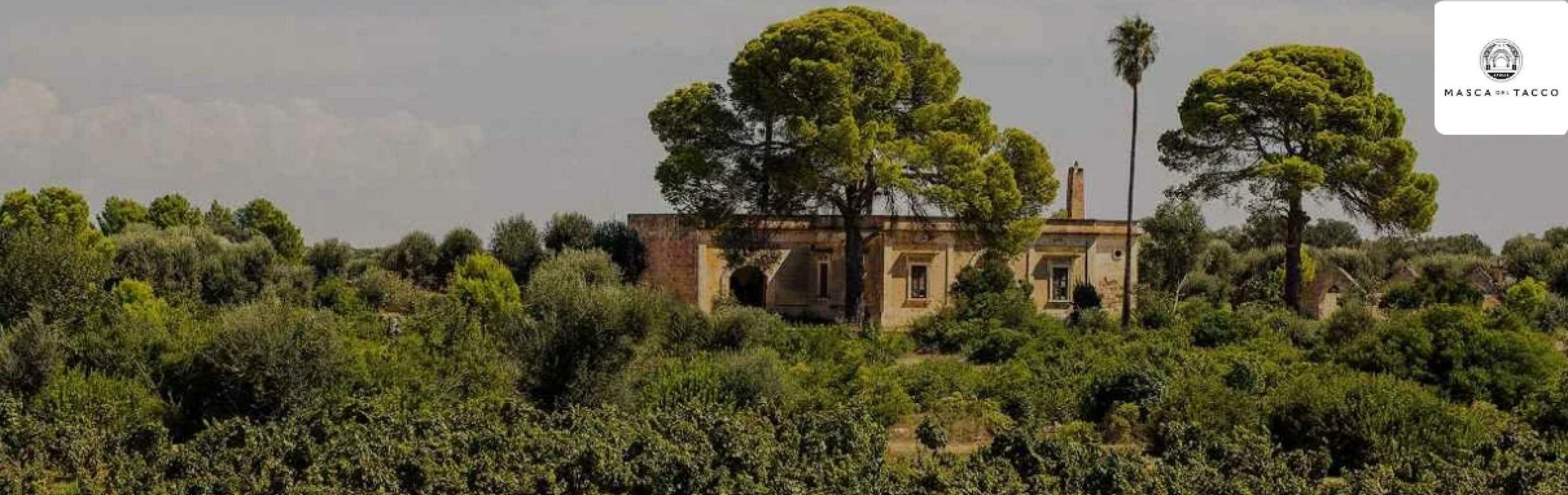 Masca del Tacco Cover Foto